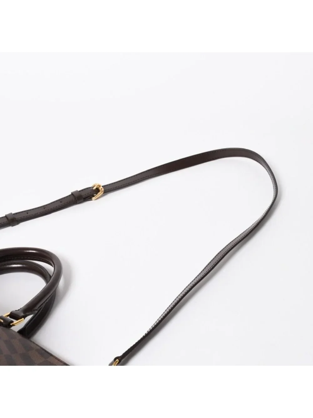 Louis Vuitton Sienna PM Handbag Leather Brown Gold
